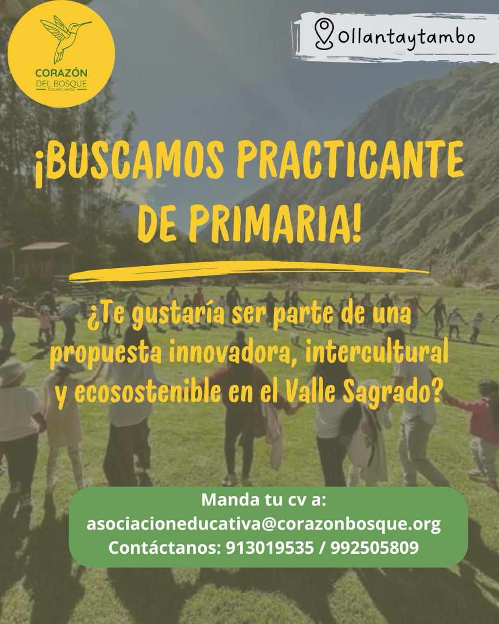 ¿Estudias educación primaria o psicología?